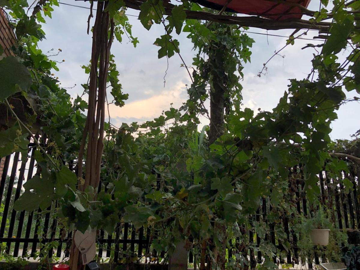 Bau Bi Mini Farmstay Mekong - Tien Giang Ми Тхо Екстериор снимка