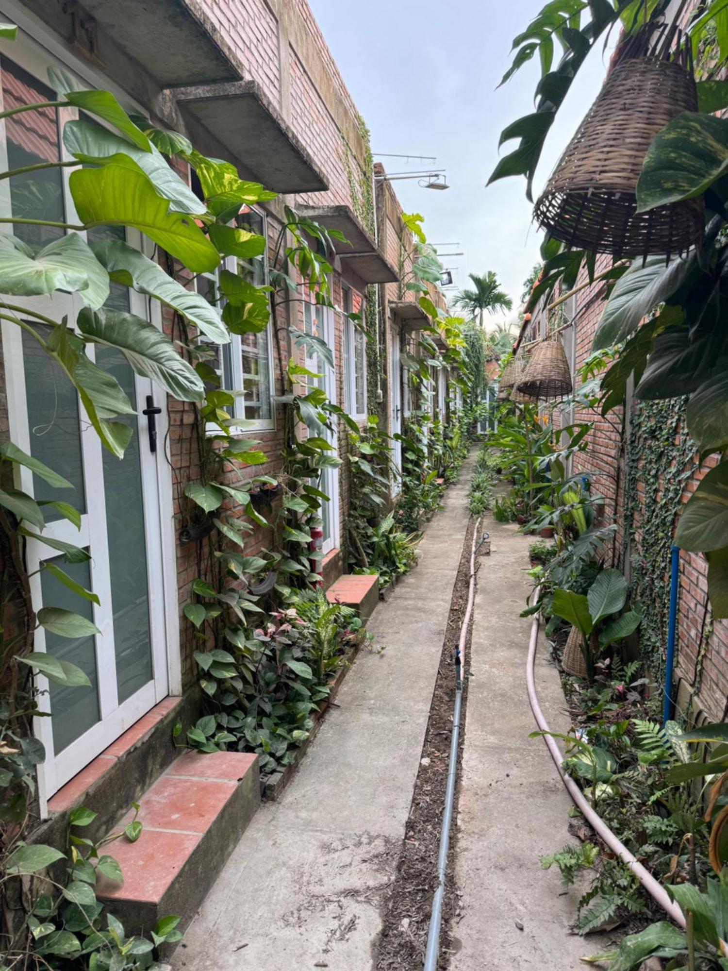 Bau Bi Mini Farmstay Mekong - Tien Giang Ми Тхо Екстериор снимка